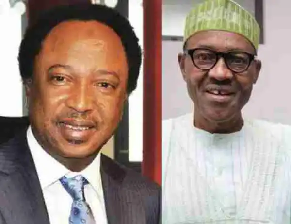 Eye service returns as Buhari resumes - Senator Shehu Sani says